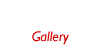 작업갤러리